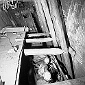 souvenirs en noir et blanc (652)
